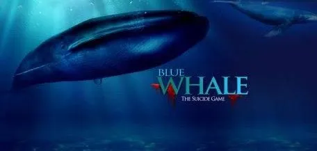 What is Blue Whale Suicide Game Apk?