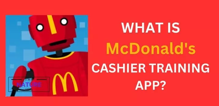 mcdonalds cashier training game